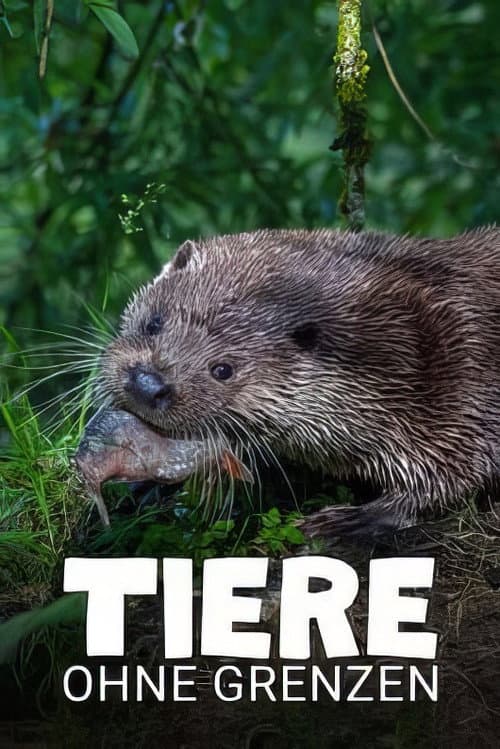 Poster for Tiere ohne Grenzen