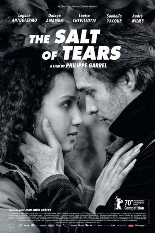 Poster for The Salt of Tears
