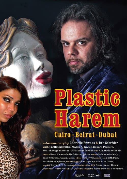 Poster for Plastic Harem
