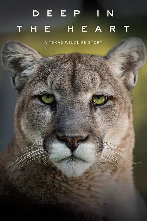 Постер до фільму «Deep in the Heart: A Texas Wildlife Story»