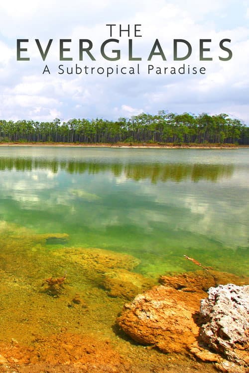 Poster for National Parks Exploration Series: The Everglades