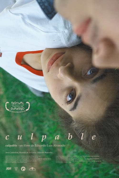 Poster for Culpable
