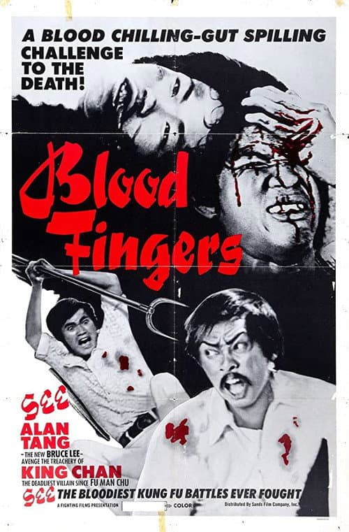 Poster for The Brutal Boxer