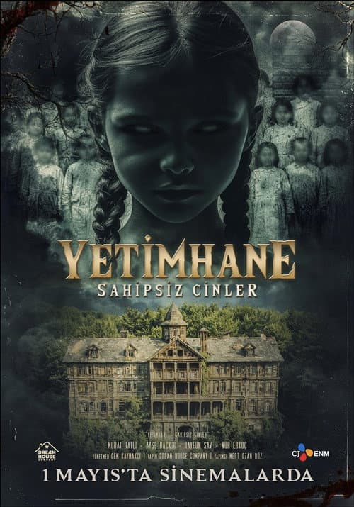 Poster for Yetimhane: Sahipsiz Cinler