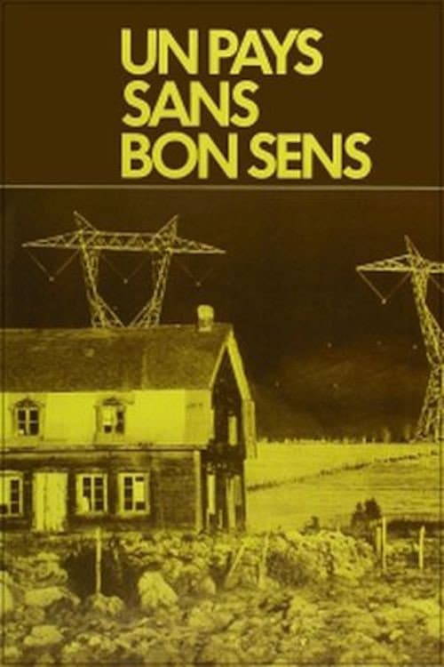 Poster for Un pays sans bon sens!