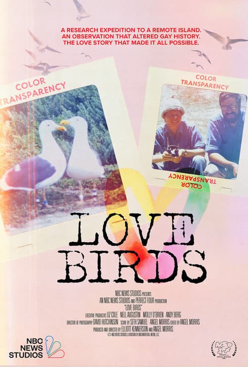 Poster for Love Birds