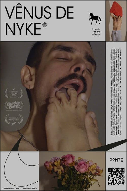 Poster for Venus in Nykes