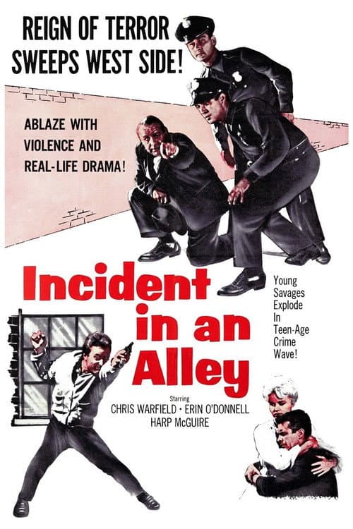 Постер до фільму «Incident in an Alley»