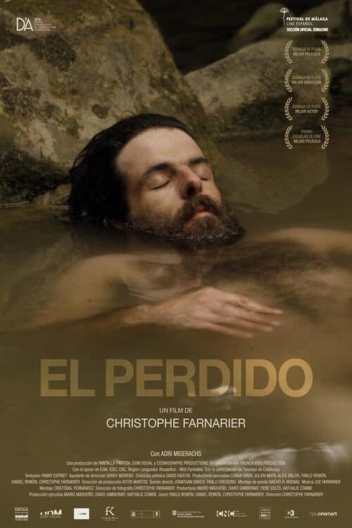 Poster for El perdido