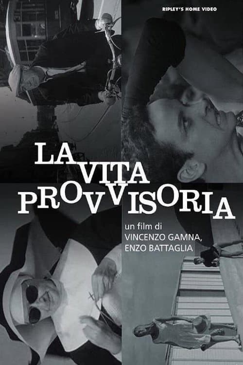 Poster for La vita provvisoria