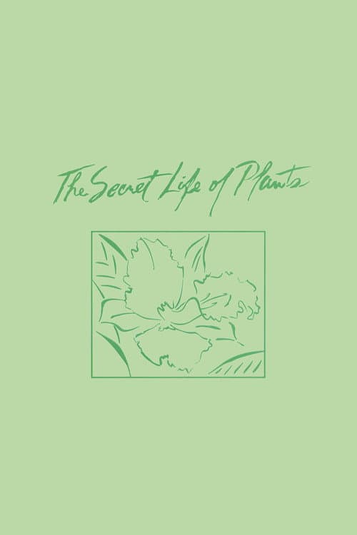 Poster for The Secret Life of Plants
