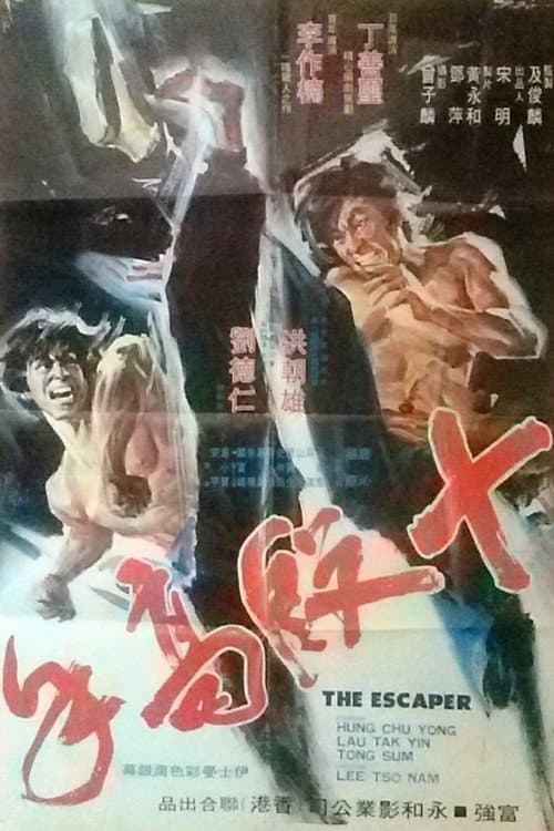 Poster for The Escaper
