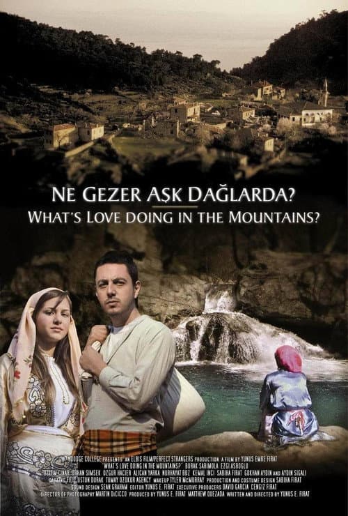 Poster for Ne Gezer Aşk Dağlarda?