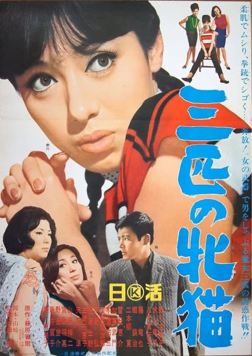 Poster for Three Wild Cats