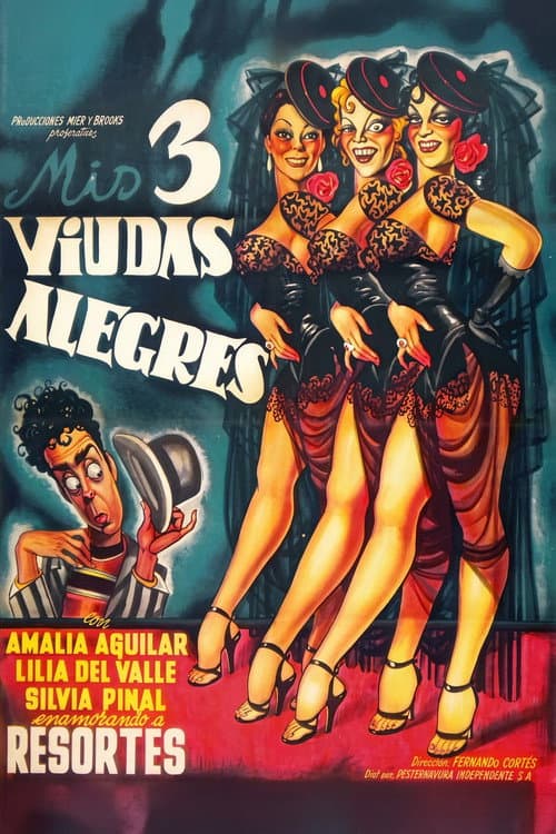 Poster for My Three Merry Widows