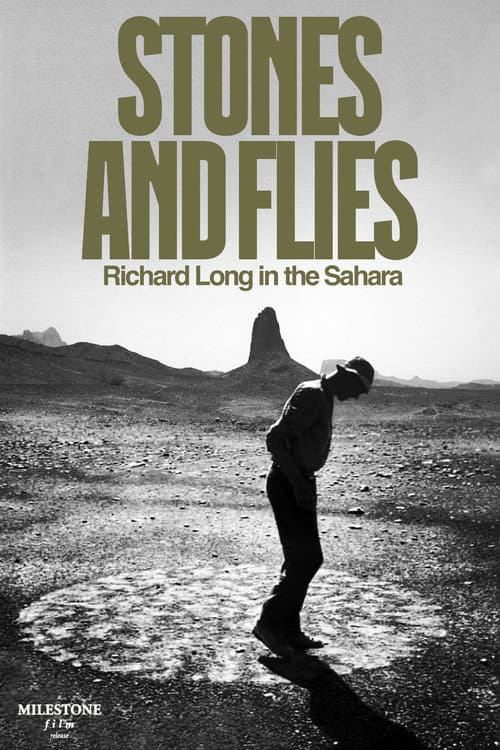 Poster for Stones and Flies: Richard Long in the Sahara