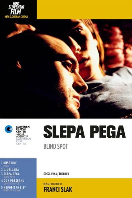 Poster for Blind Spot