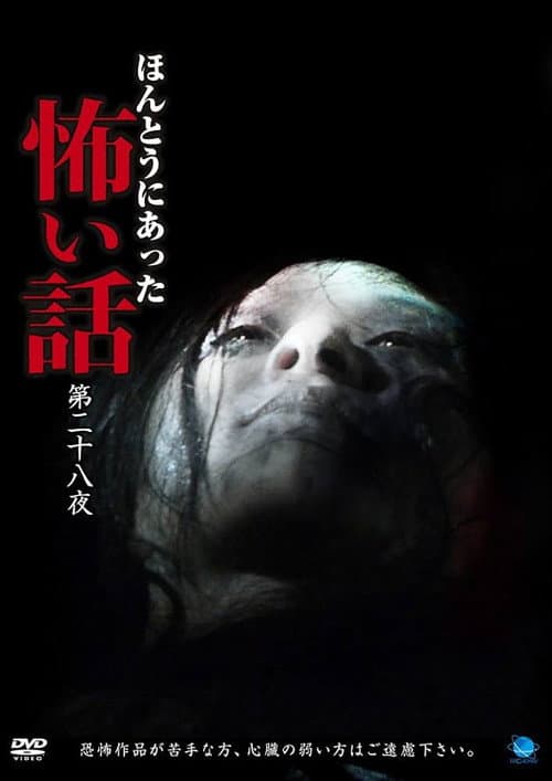 Poster for Scary True Stories: Night 28