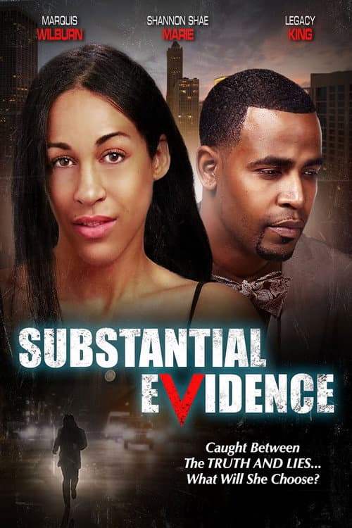 Poster for Substantial Evidence