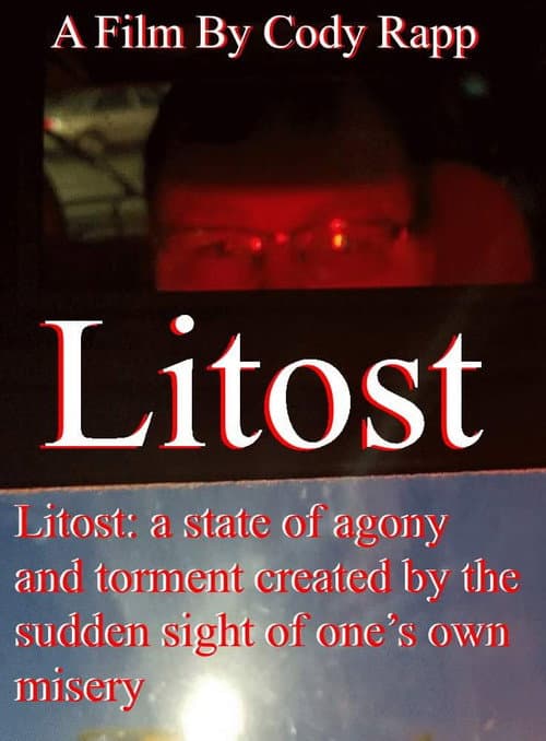Poster for Litost