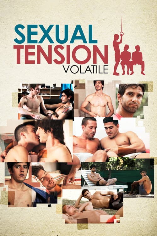 Poster for Sexual Tension: Volatile