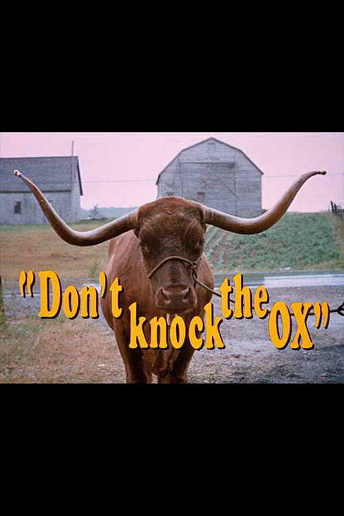 Poster for Don't Knock the Ox