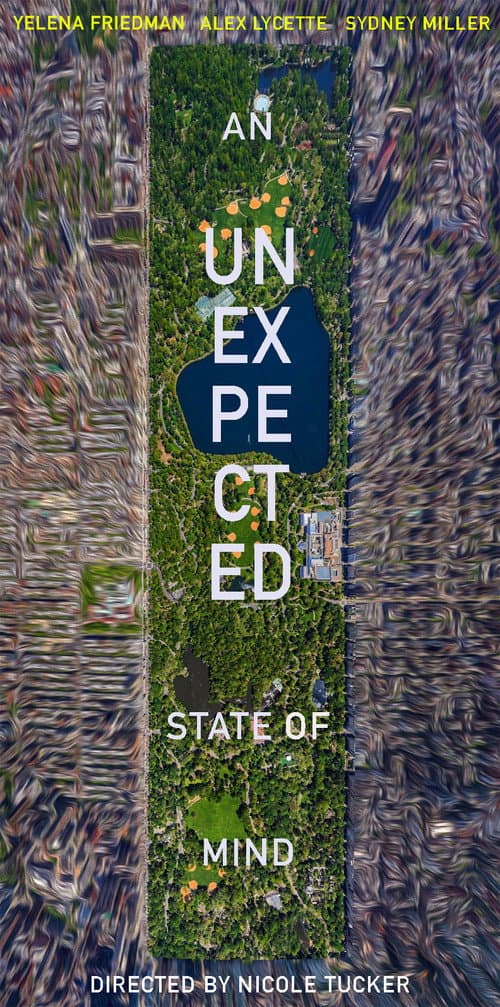 Poster for An Unexpected State of Mind