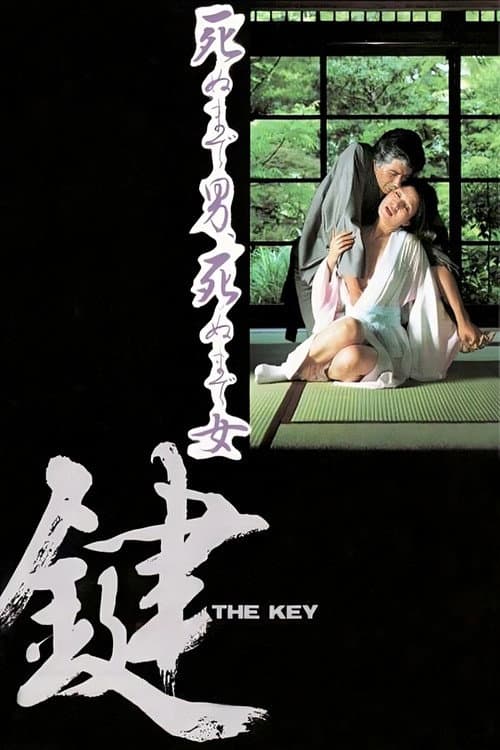 Poster for The Key