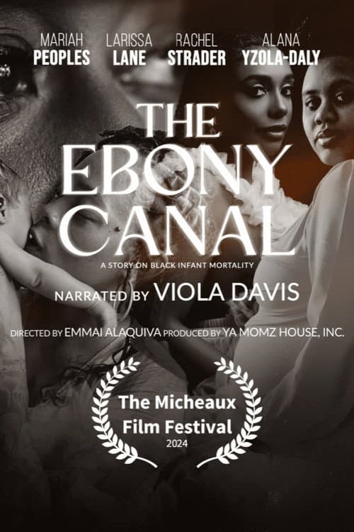 Постер до фільму «The Ebony Canal: A Story of Black Infant Mortality»
