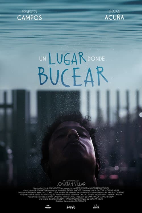 Poster for A Place to Dive