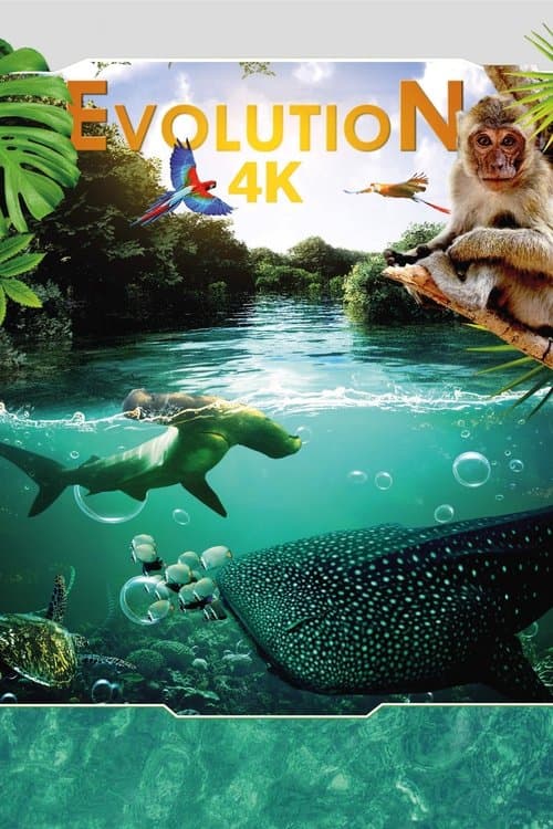 Poster for Evolution 4K