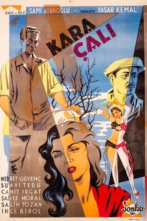 Poster for Kara Çalı
