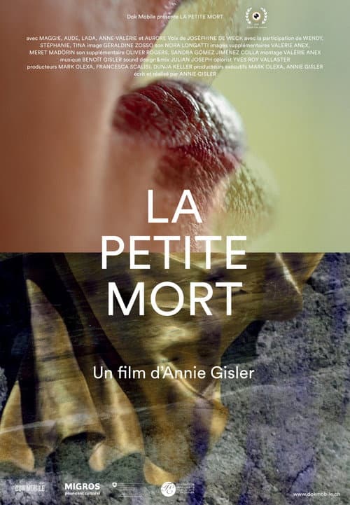 Poster for The Little Death