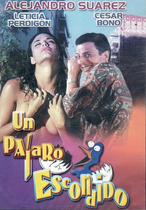 Poster for Un pájaro escondido