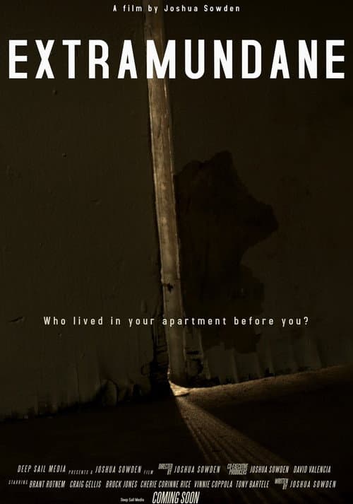 Poster for VACANT