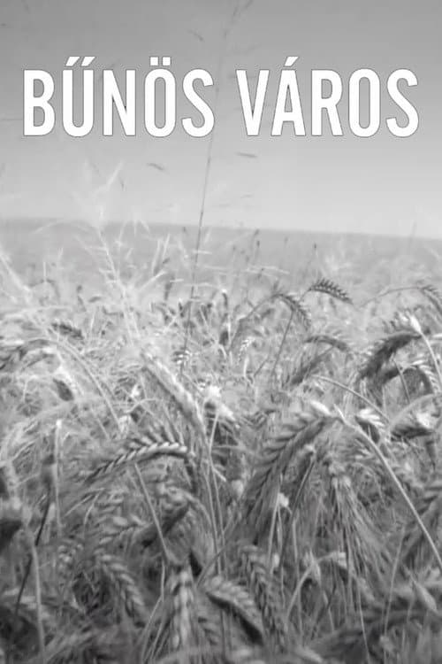 Poster for Bűnös Város