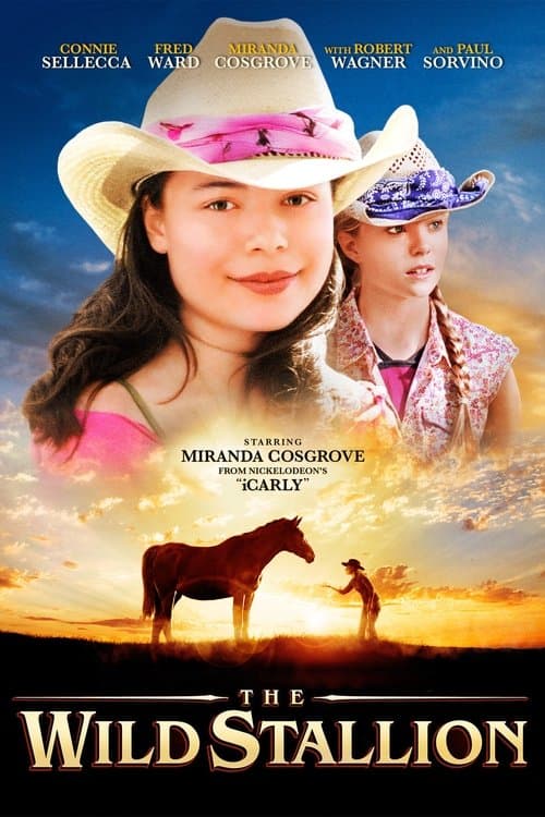 Poster for The Wild Stallion