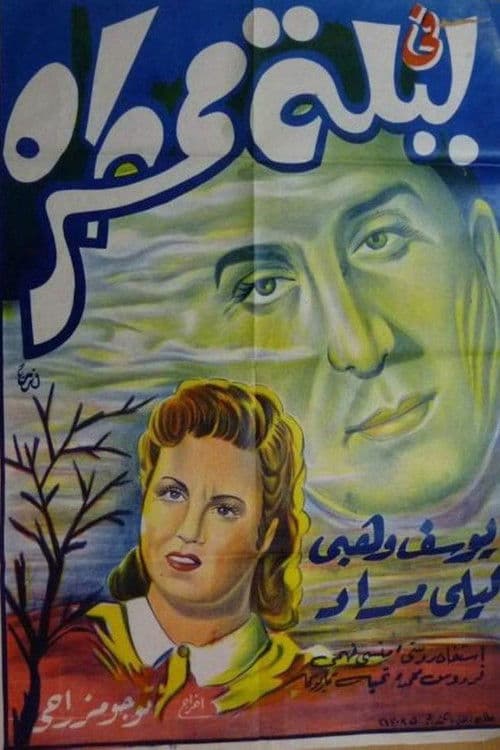 Poster for In a rainy night