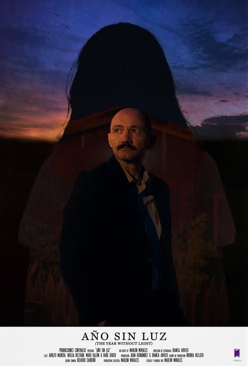 Poster for The Year Without Light