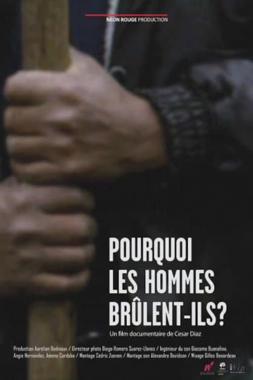 Poster for Pourquoi les hommes brûlent-ils?