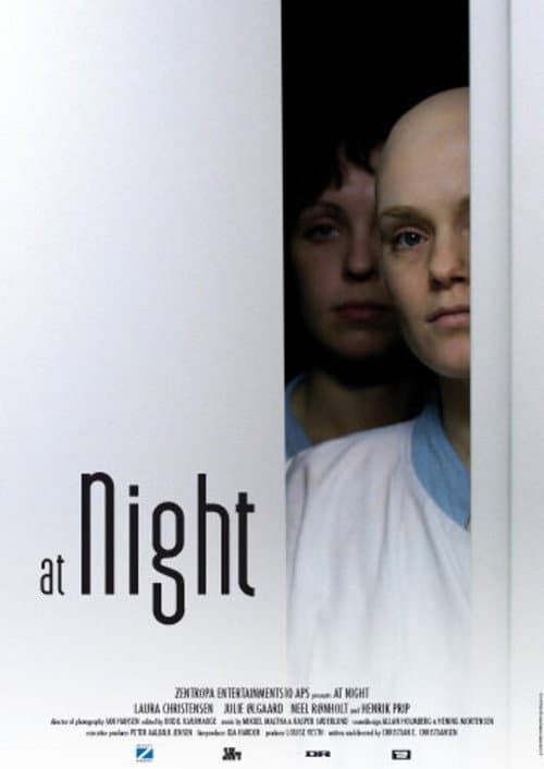 Poster for At Night