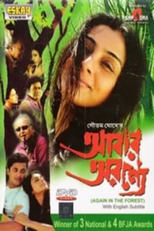 Poster for In the Forest... Again
