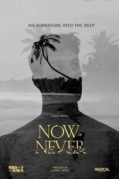 Poster for Now or Never