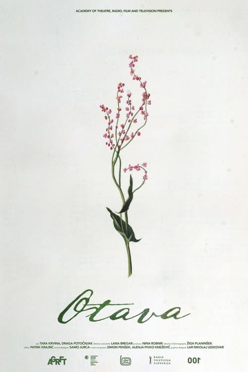 Poster for Otava