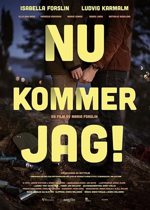 Poster for Here I Come!
