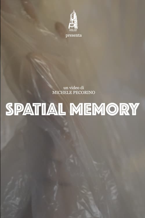 Poster for Spatial Memory