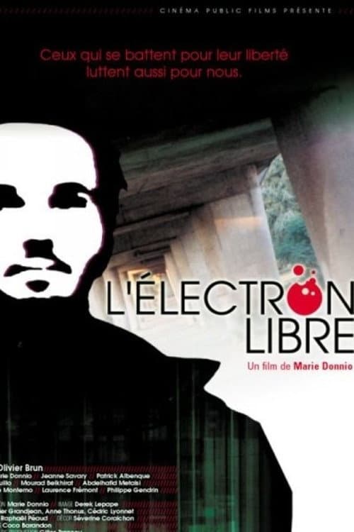 Poster for L'électron libre
