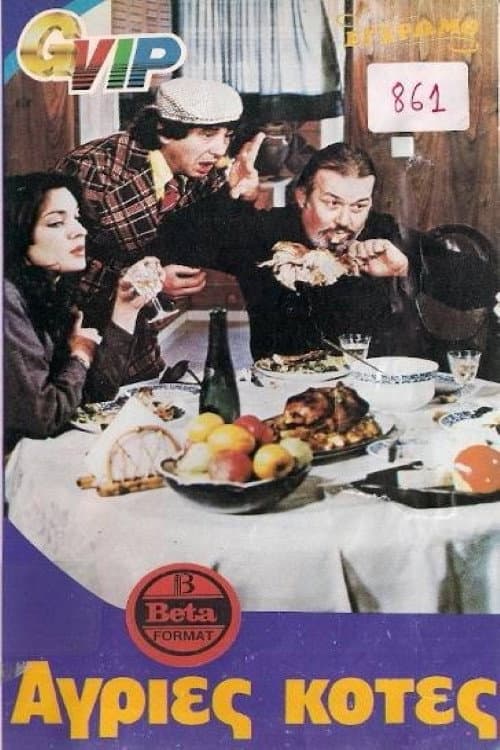 Poster for Wild Chickens