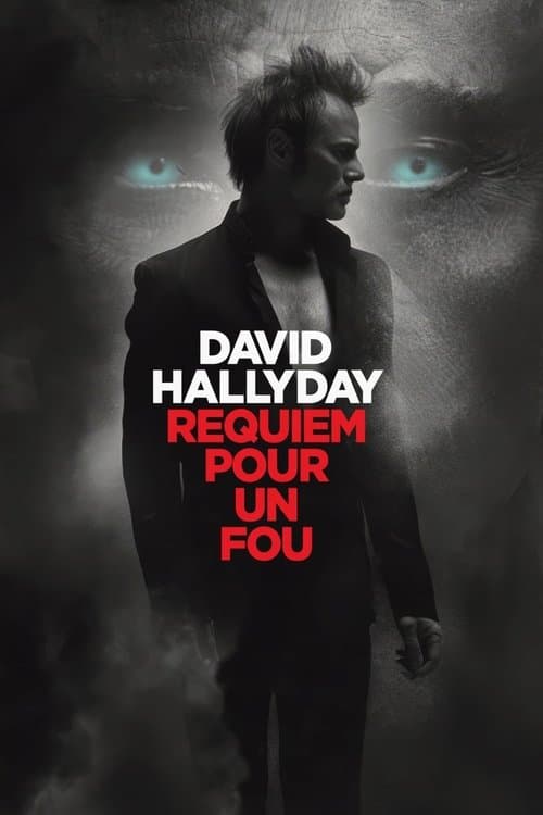 Poster for David Hallyday, requiem pour un fou