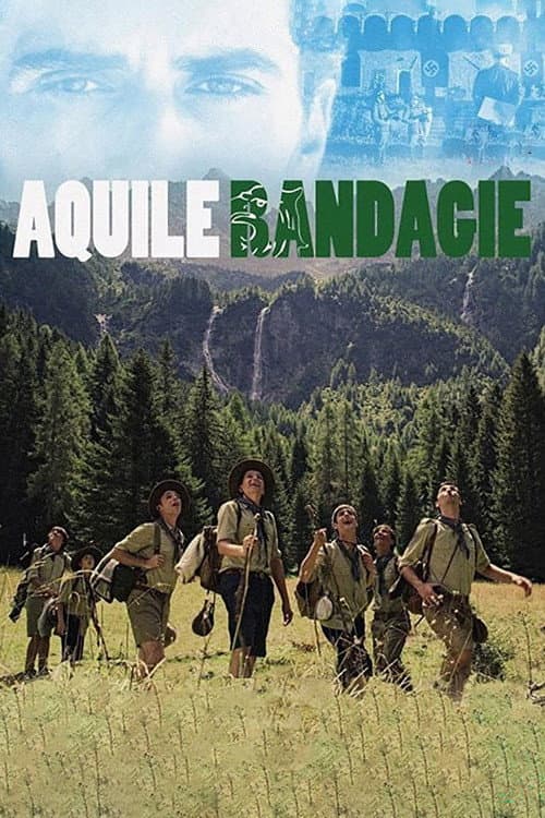 Poster for Fight Like Angels